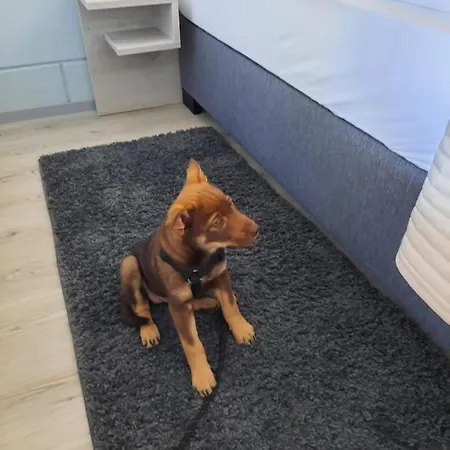 Am Roemnitzer Muehle Hotel Ratzeburg