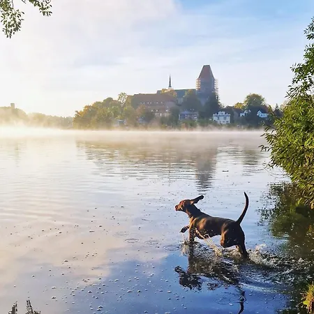 Am See Romnitzer Muhle Hotel 3*