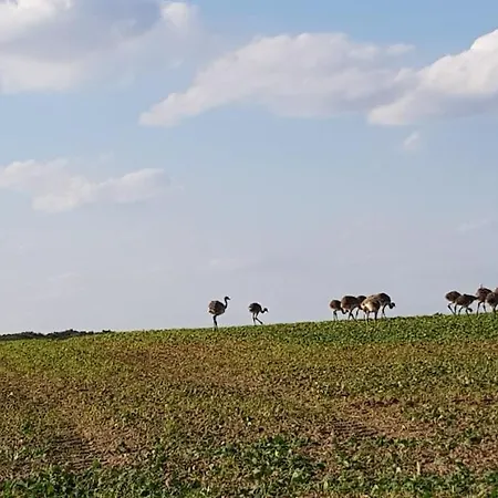 Am Roemnitzer Muehle Hotel 3*